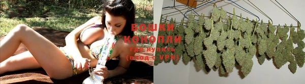 прущие крисы Армянск