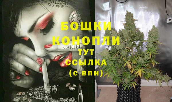 прущие крисы Армянск