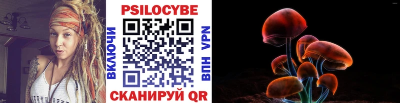 купить наркотик  Дыгулыбгей  Галлюциногенные грибы Magic Shrooms 